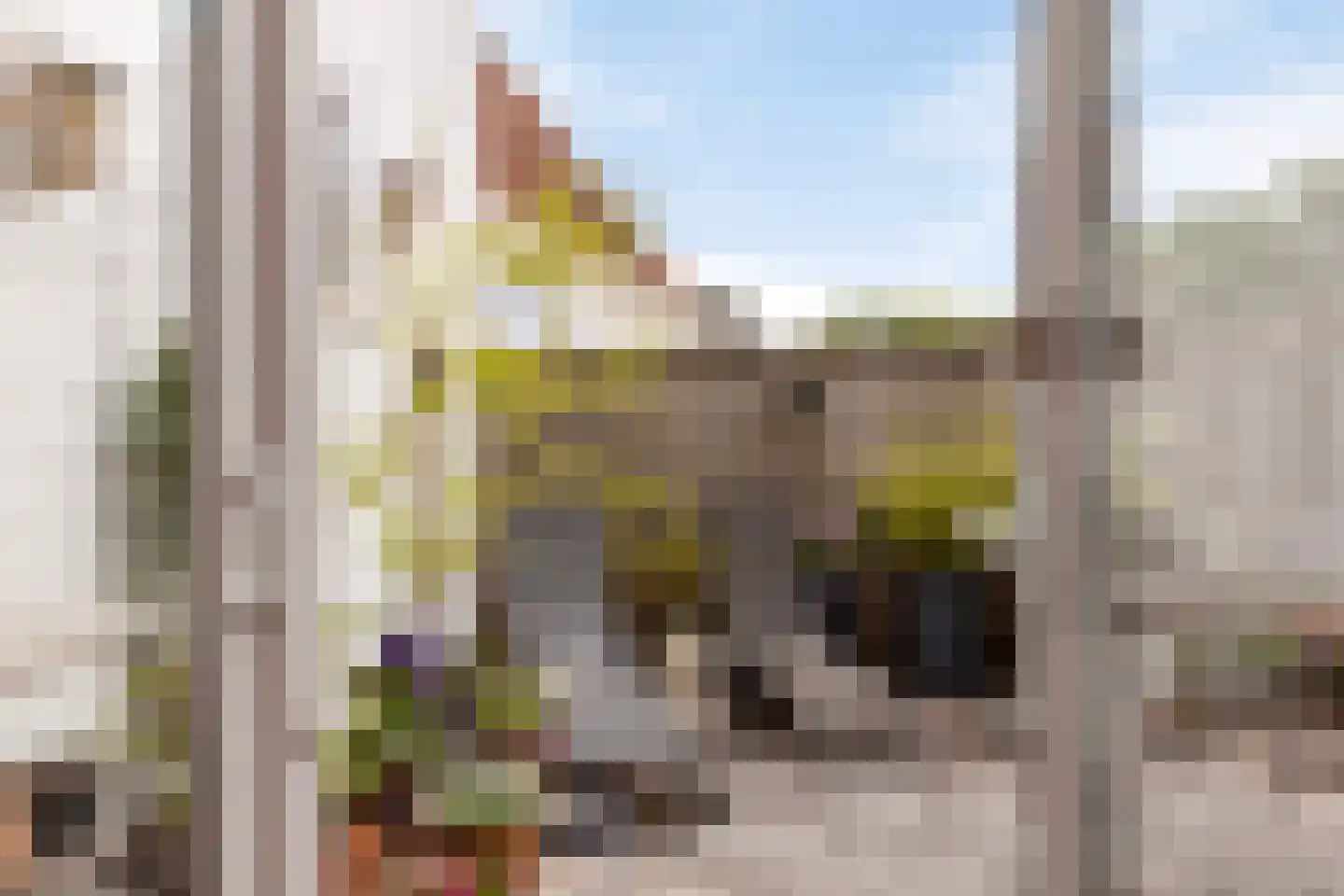 Laarstraat 16 a Zutphen thumbnail 20