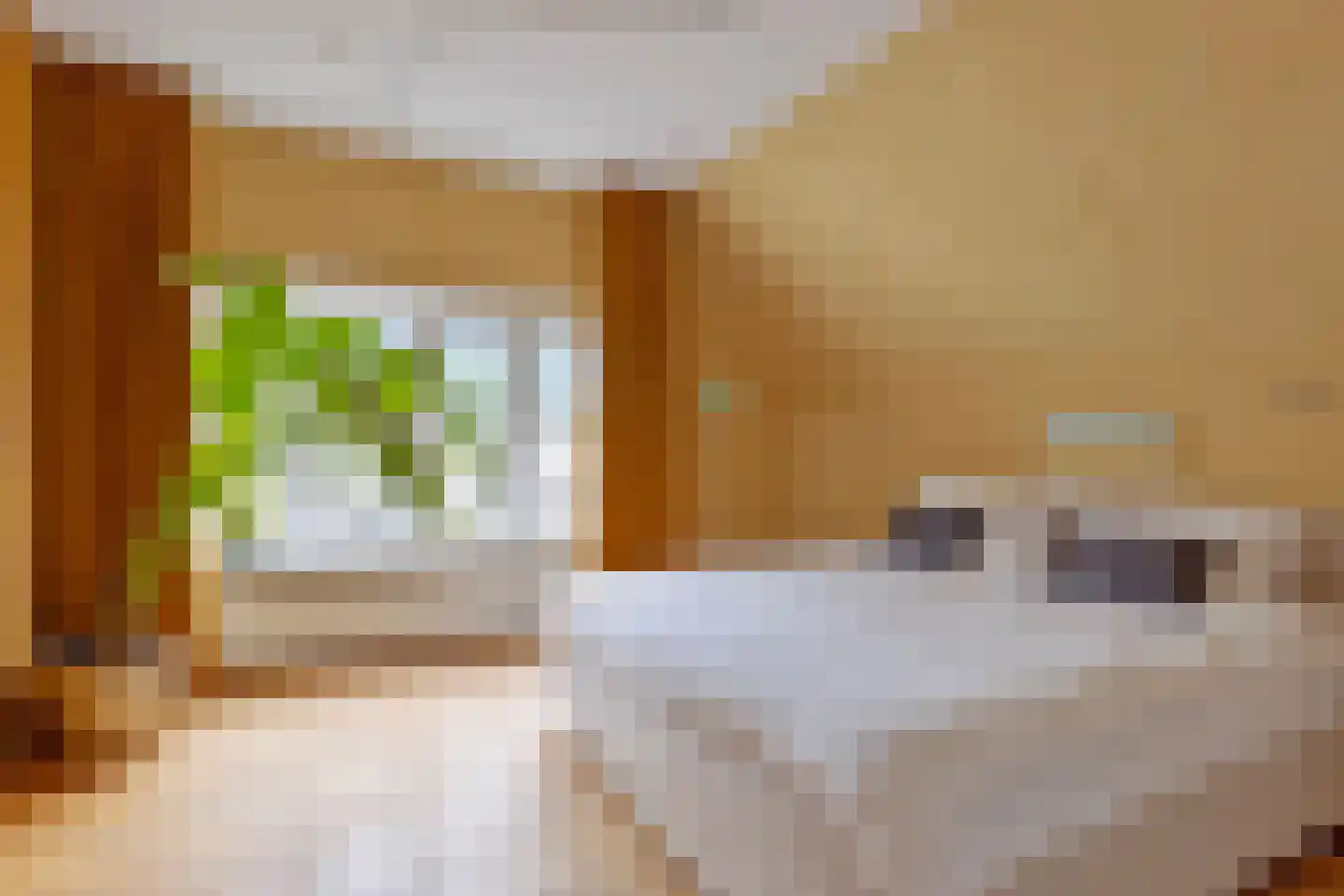 Laarstraat 16 a Zutphen thumbnail 30