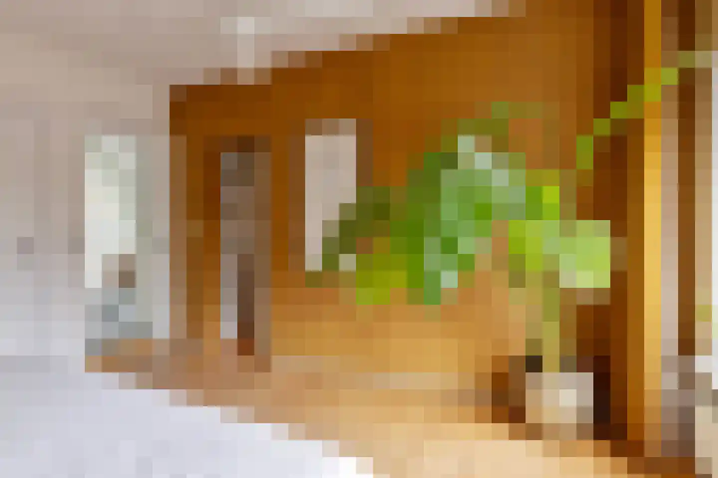 Laarstraat 16 a Zutphen thumbnail 31