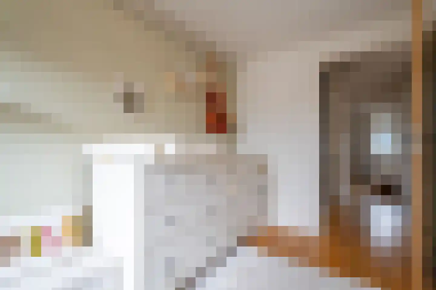 Laarstraat 27 Tilburg thumbnail 17
