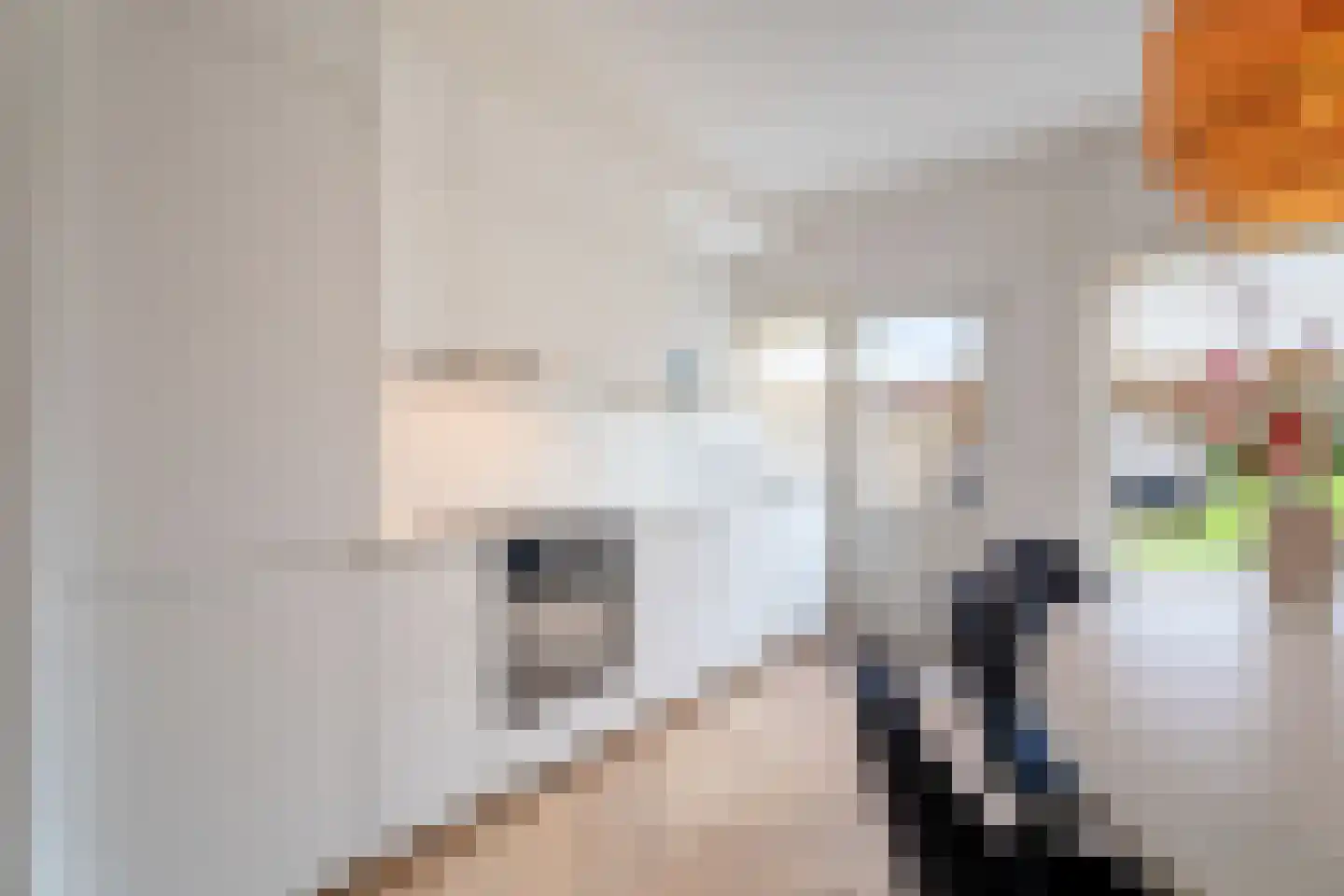 Laarstraat 27 Tilburg thumbnail 5