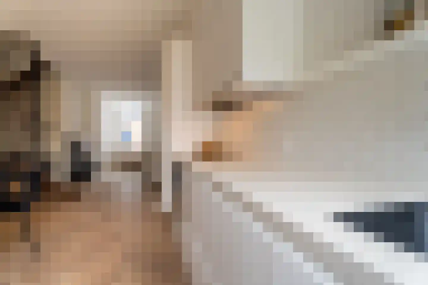 Laarstraat 27 Tilburg thumbnail 9