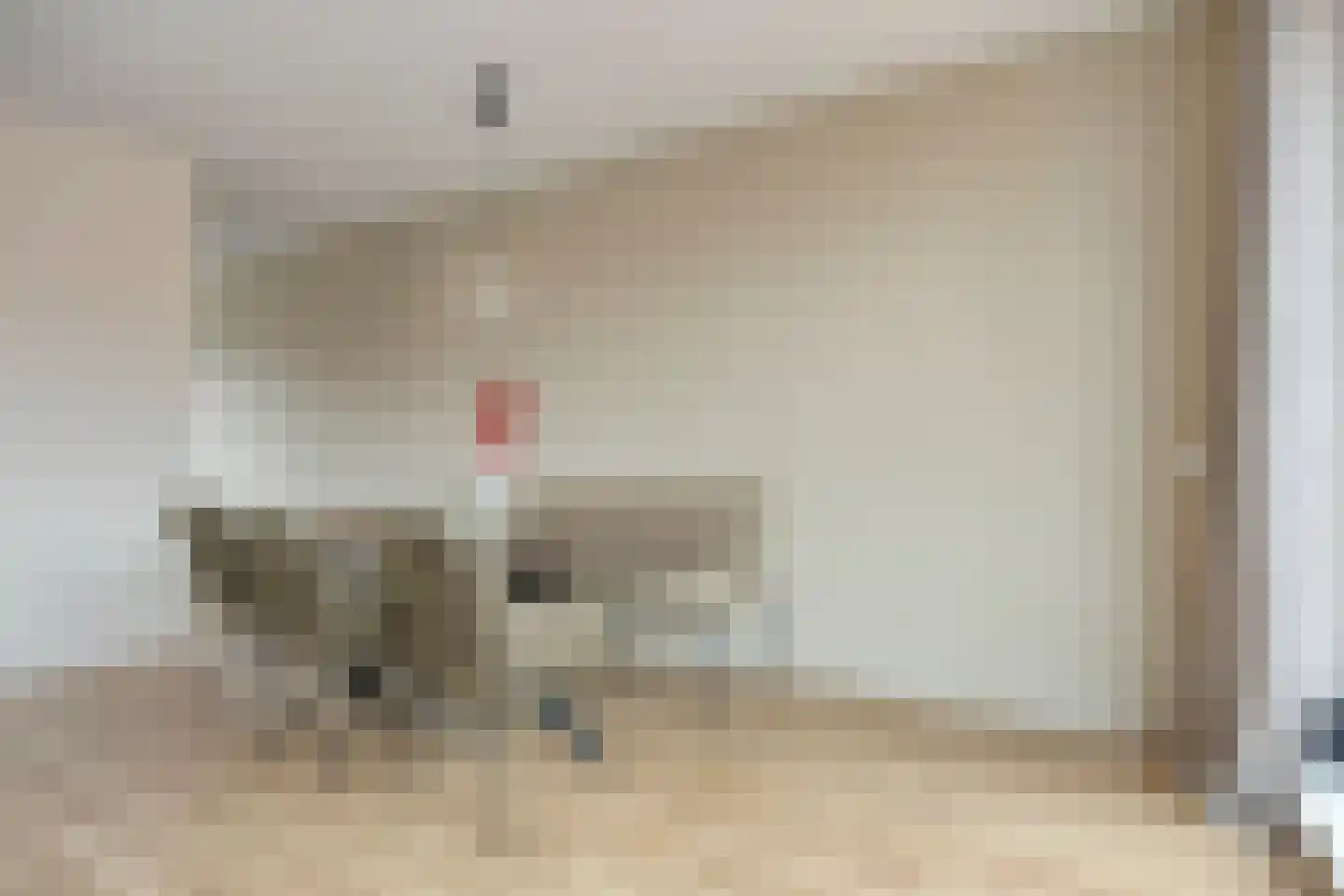 Laarstraat 28 10 Tilburg thumbnail 16