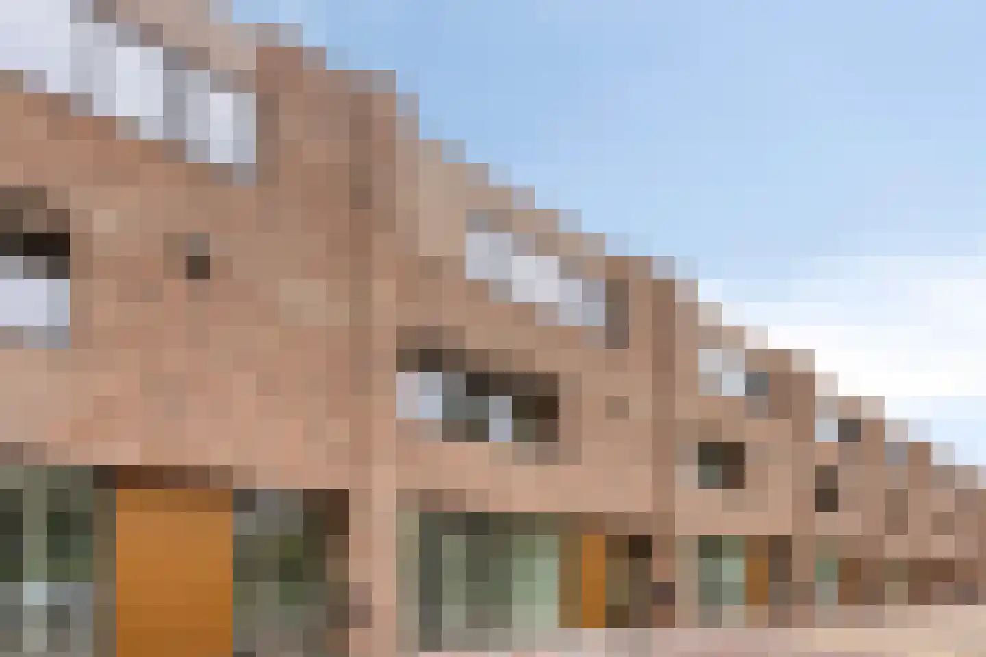 Laarstraat 28 10 Tilburg thumbnail 42