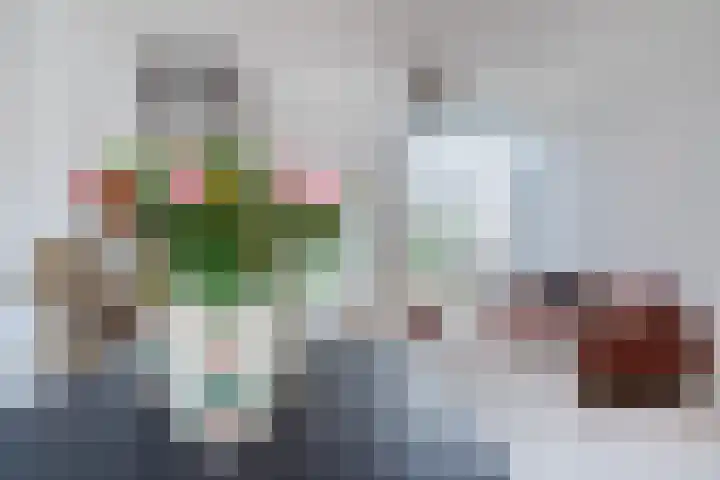 Laarstraat 3 Tilburg thumbnail 10