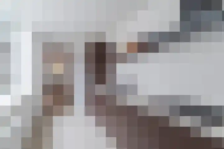 Laarstraat 3 Tilburg thumbnail 11