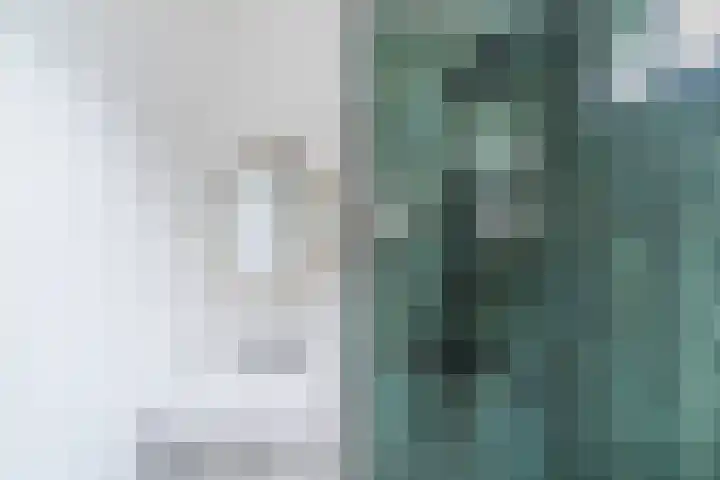 Laarstraat 3 Tilburg thumbnail 17