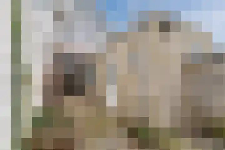 Laarstraat 3 Tilburg thumbnail 33