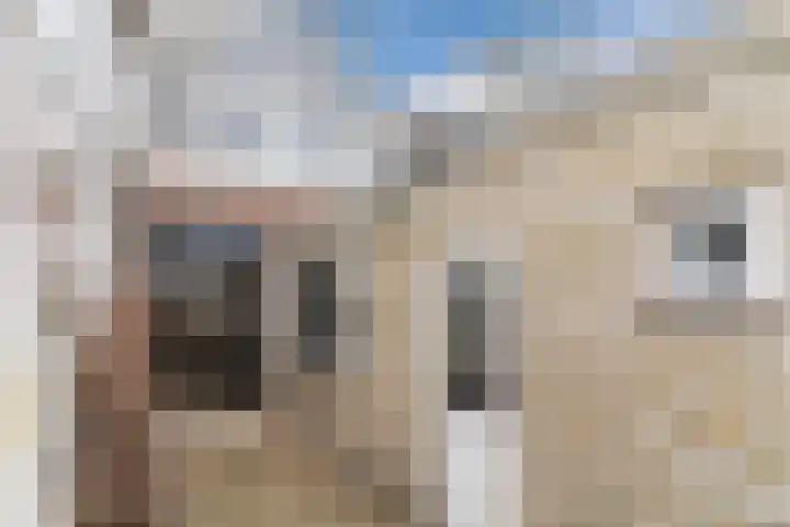 Laarstraat 3 Tilburg thumbnail 34