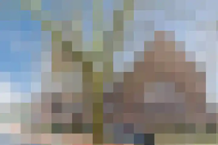 Laarstraat 3 Tilburg thumbnail 37