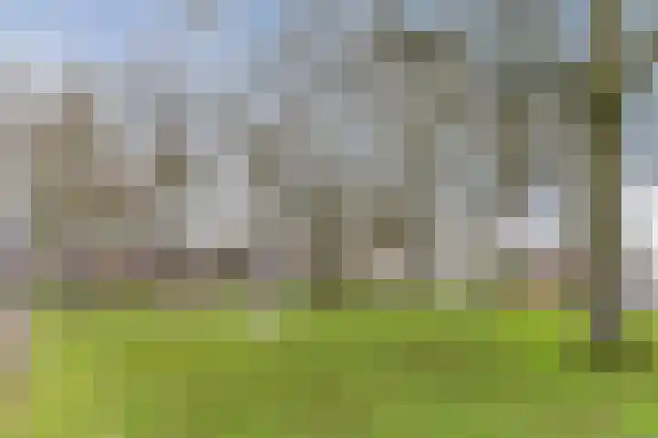 Laarstraat 3 Tilburg thumbnail 42