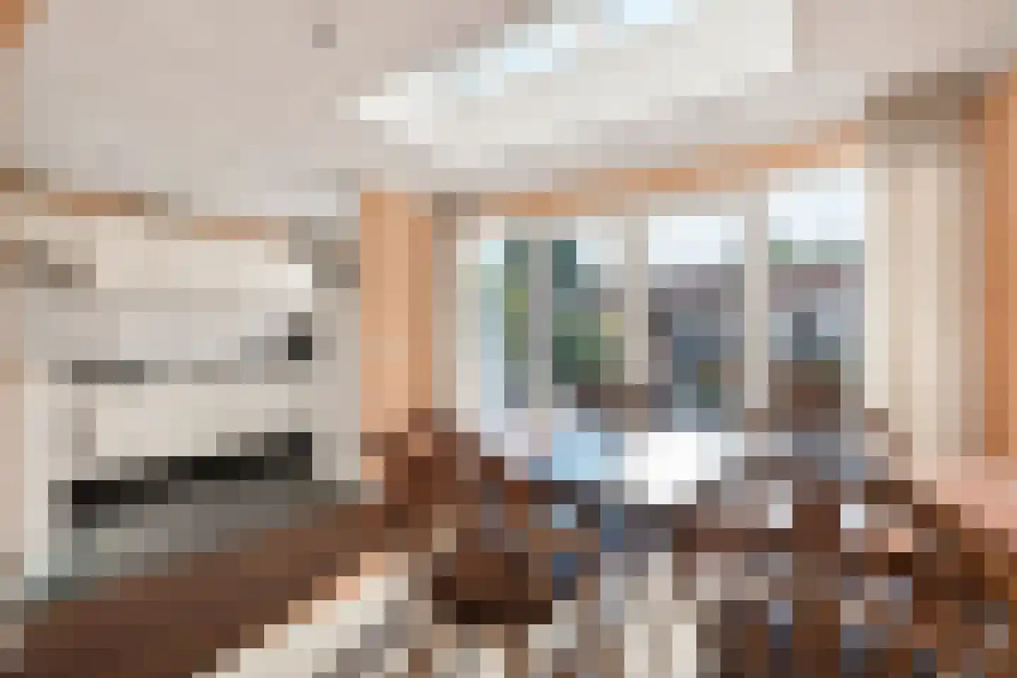 Laarstraat 31 Geldrop thumbnail 11