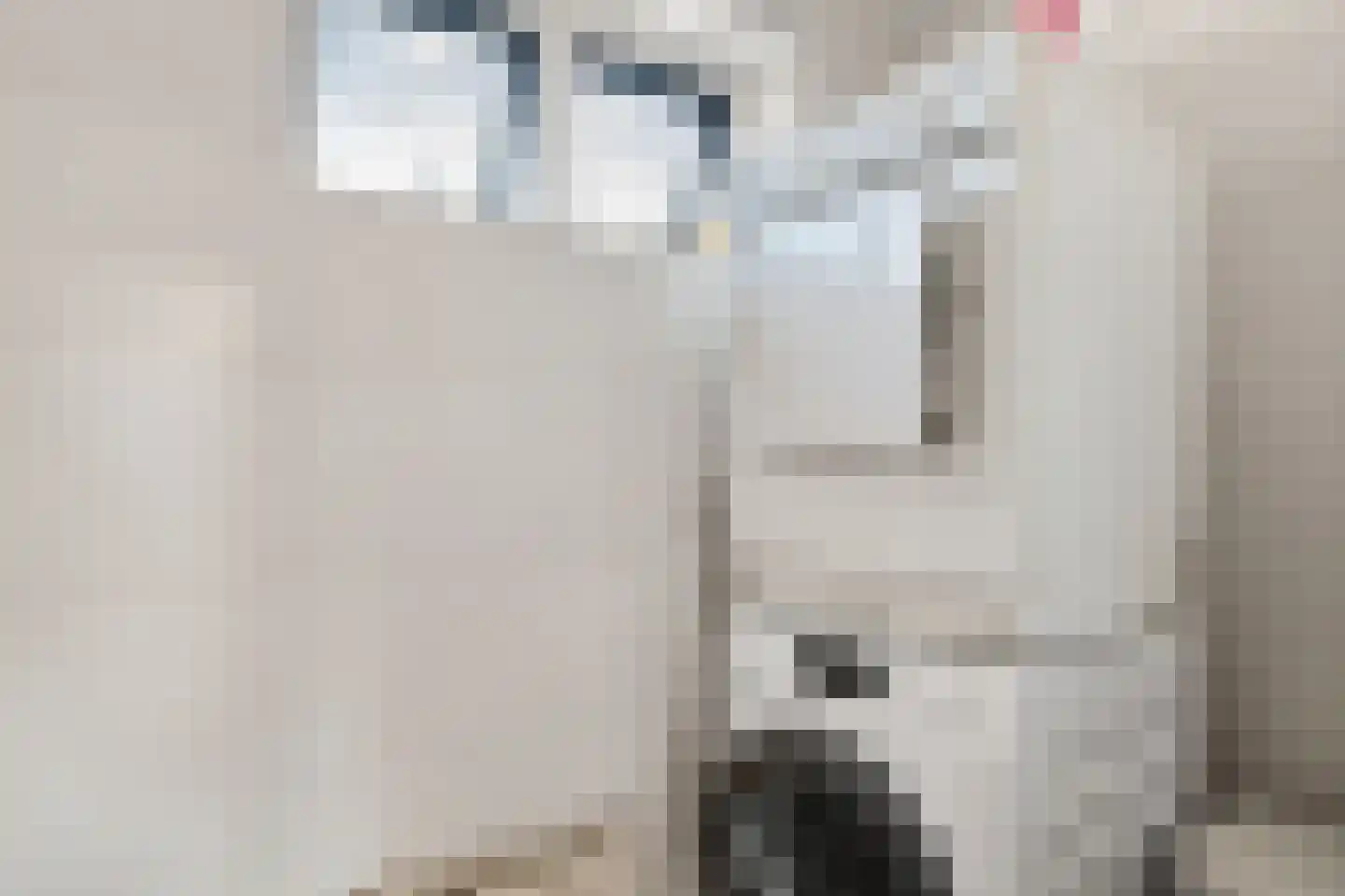 Laarstraat 31 Geldrop thumbnail 21
