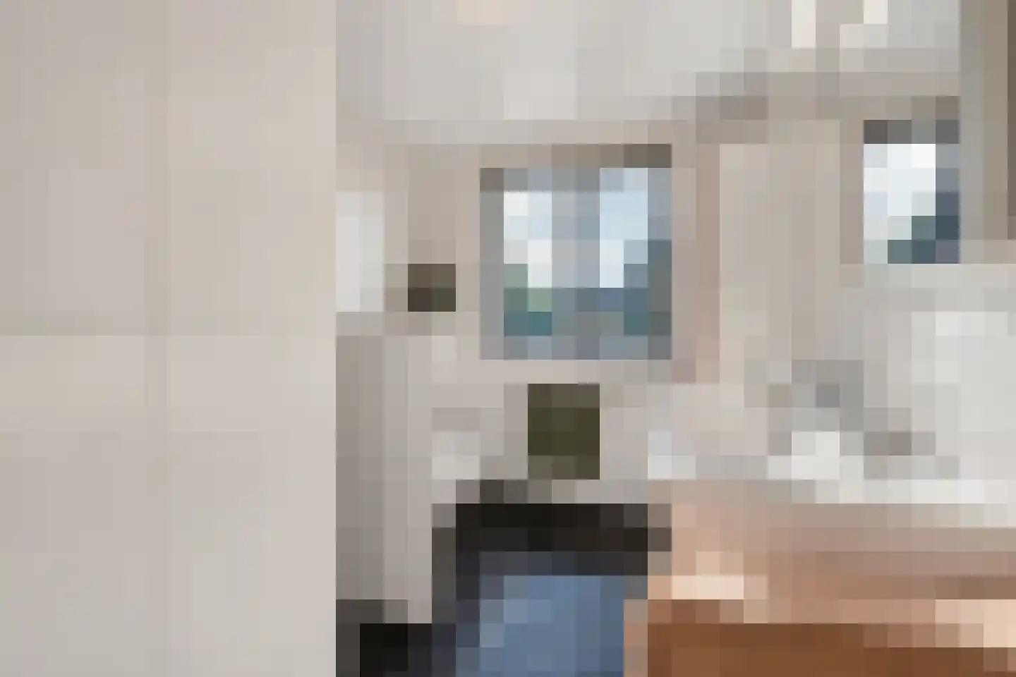 Laarstraat 31 Geldrop thumbnail 22
