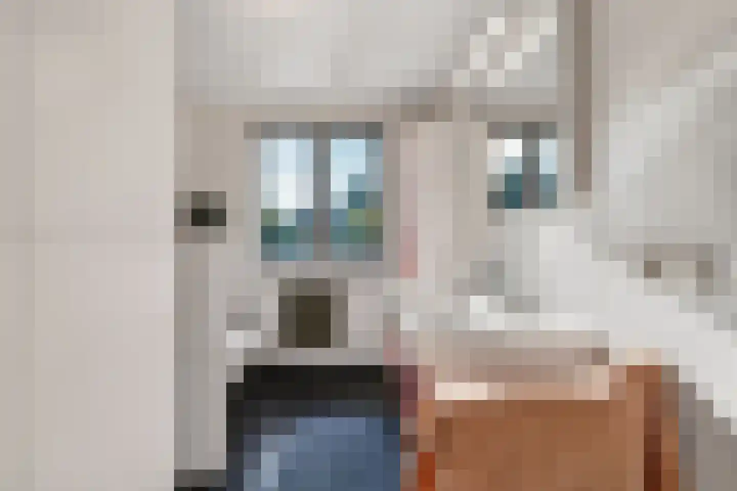 Laarstraat 31 Geldrop thumbnail 23