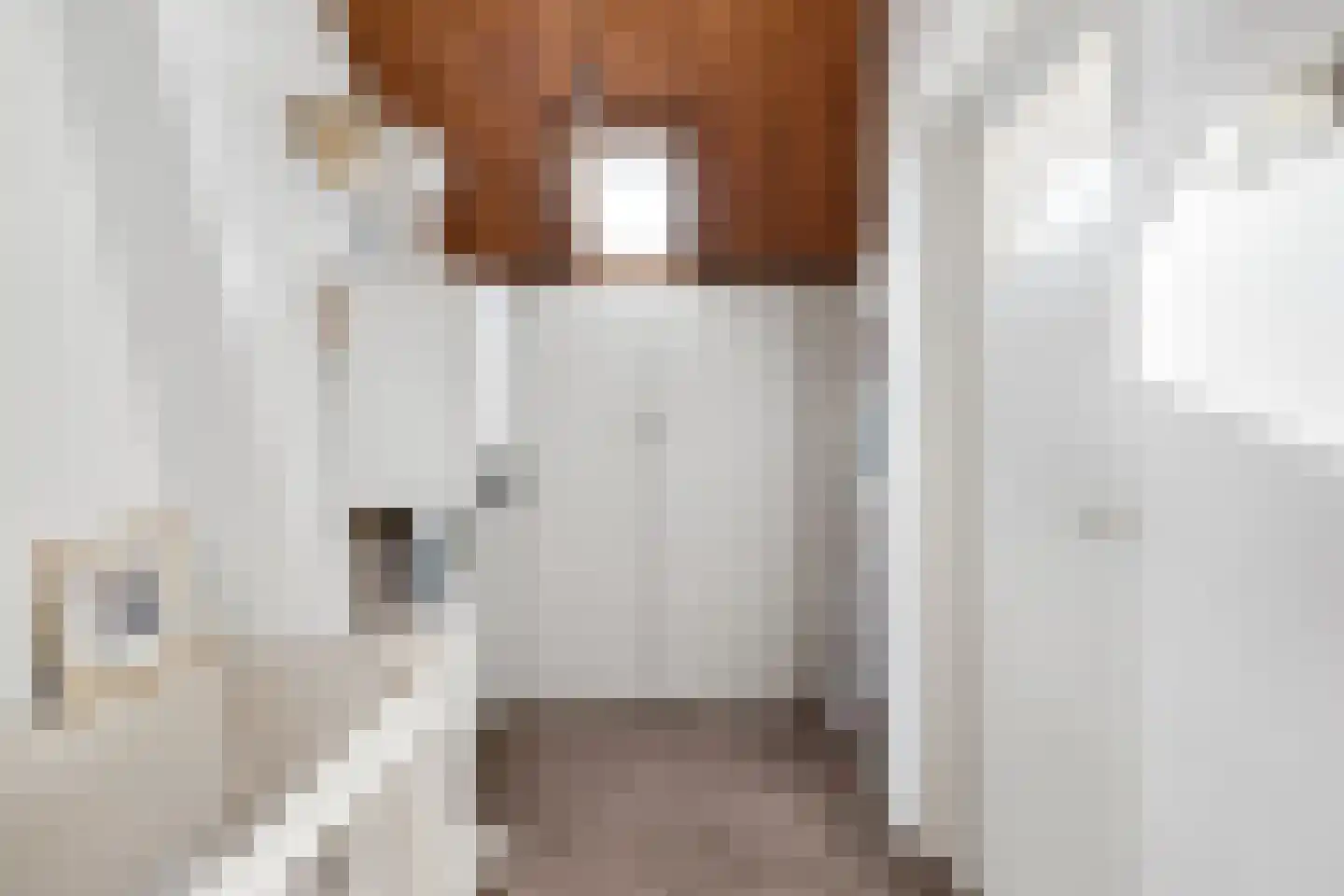 Laarstraat 31 Geldrop thumbnail 27