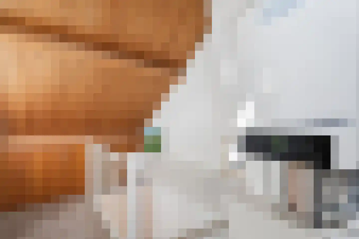 Laarstraat 31 Geldrop thumbnail 28