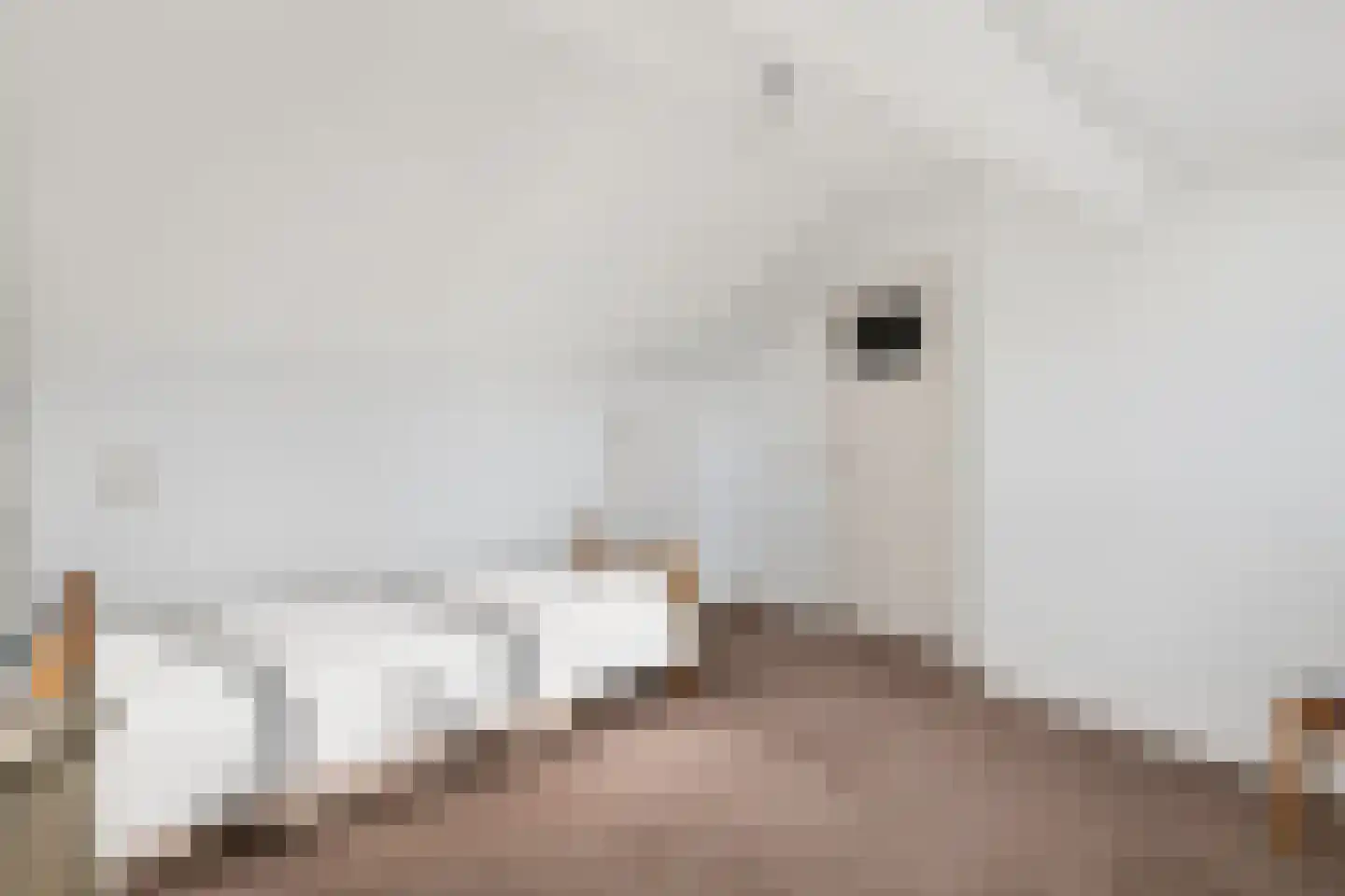 Laarstraat 31 Geldrop thumbnail 30