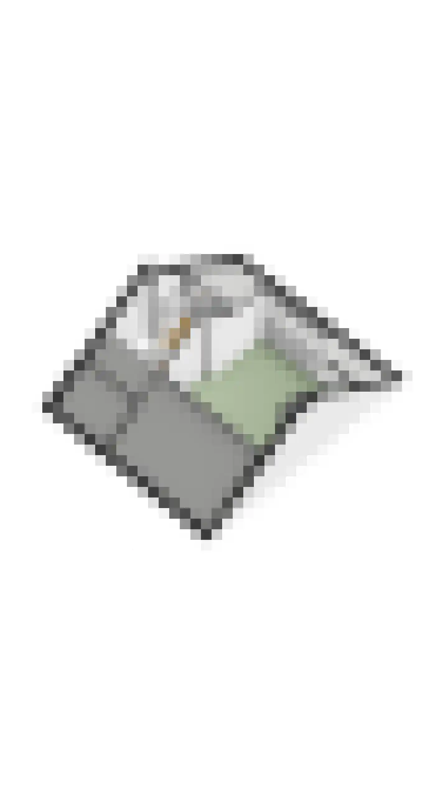 Laarstraat 31 Geldrop thumbnail 47