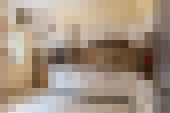 Laarstraat 37 Waalre thumbnail 12
