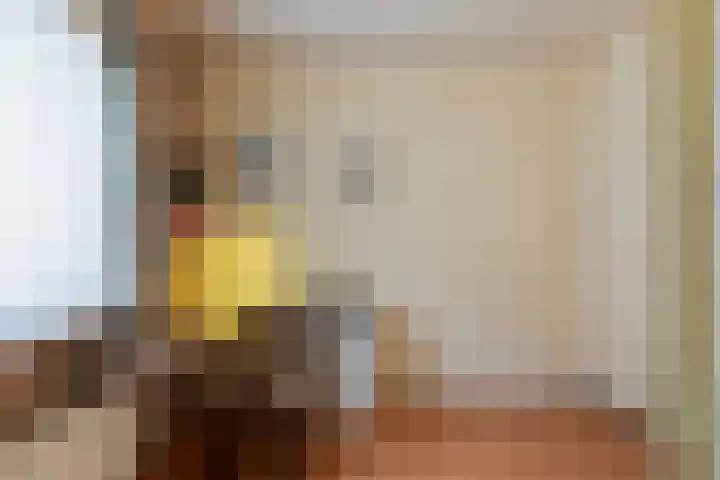 Laarstraat 37 Waalre thumbnail 13