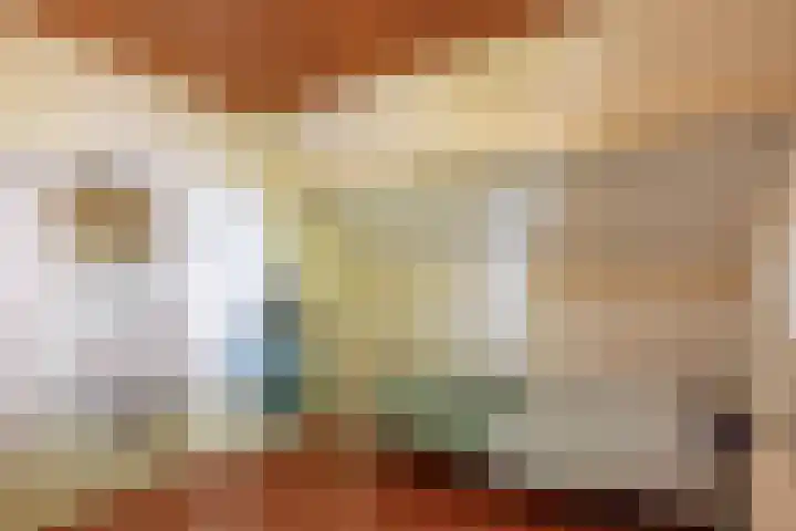 Laarstraat 37 Waalre thumbnail 21