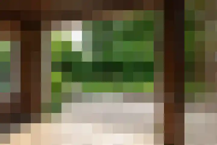 Laarstraat 37 Waalre thumbnail 28