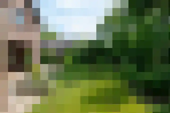 Laarstraat 37 Waalre thumbnail 29