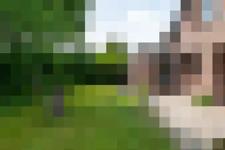 Laarstraat 37 Waalre thumbnail 31