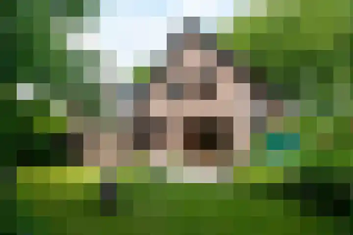 Laarstraat 37 Waalre thumbnail 32