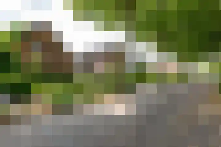Laarstraat 37 Waalre thumbnail 33