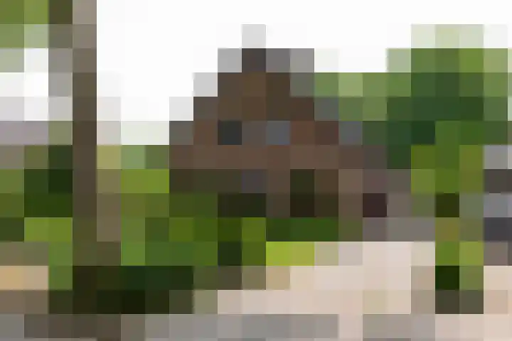 Laarstraat 37 Waalre thumbnail 37