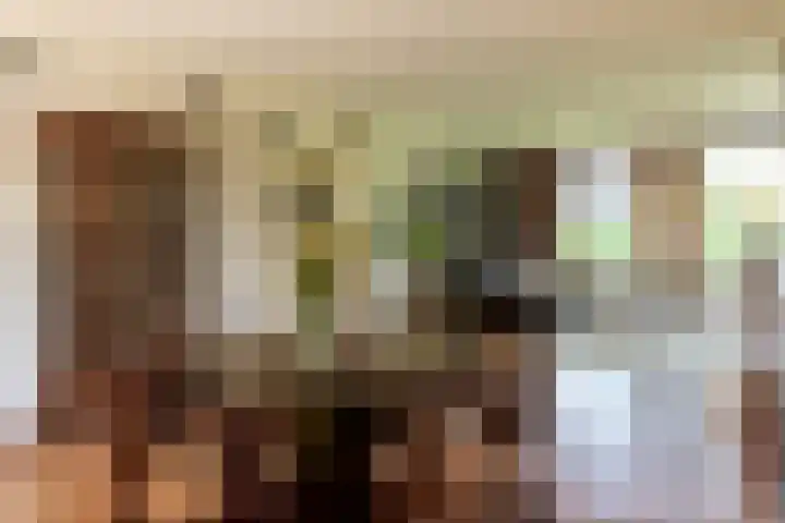 Laarstraat 37 Waalre thumbnail 8