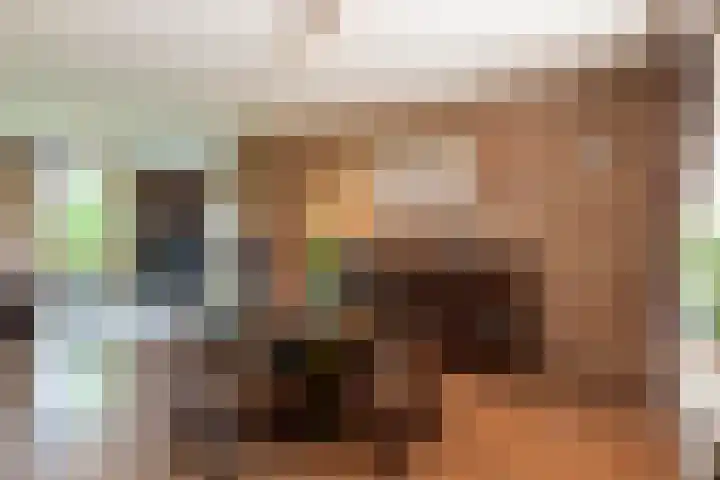 Laarstraat 37 Waalre thumbnail 9
