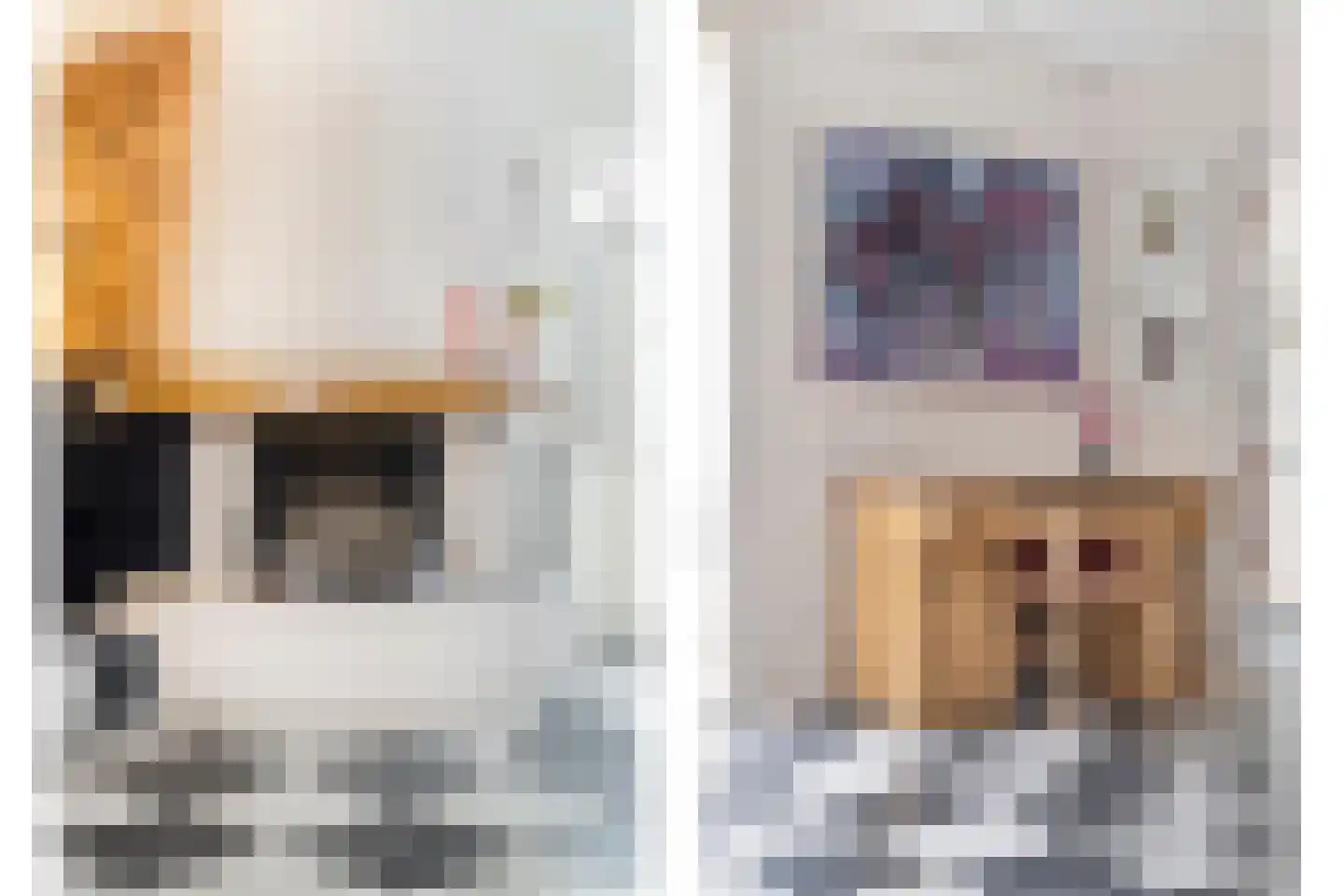 Laarstraat 41 Geldrop thumbnail 10