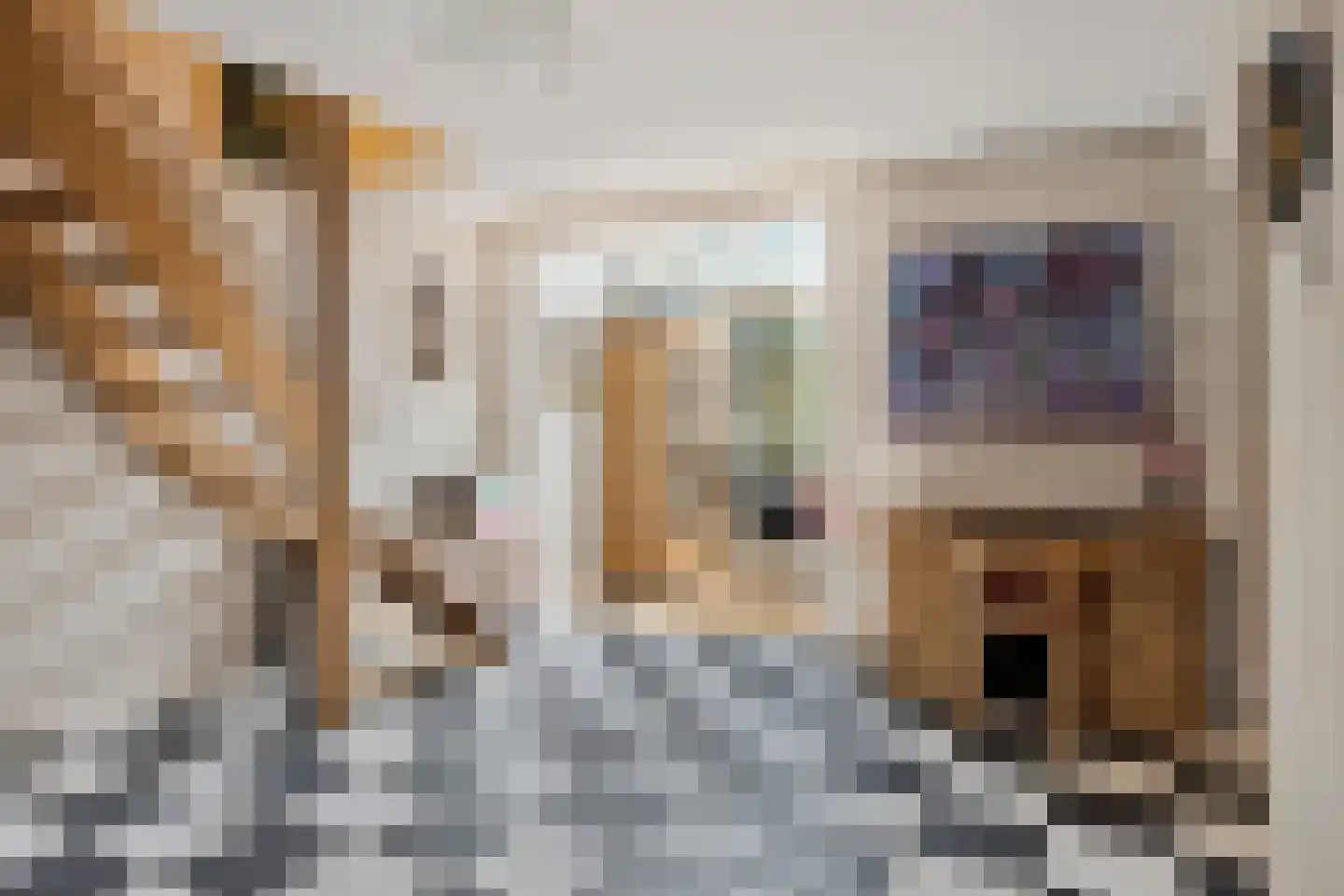 Laarstraat 41 Geldrop thumbnail 12