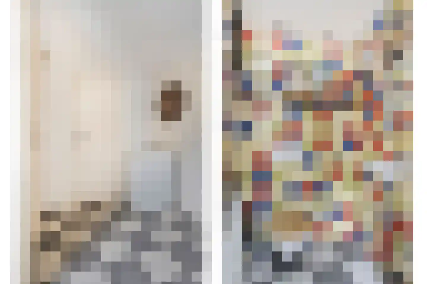 Laarstraat 41 Geldrop thumbnail 17