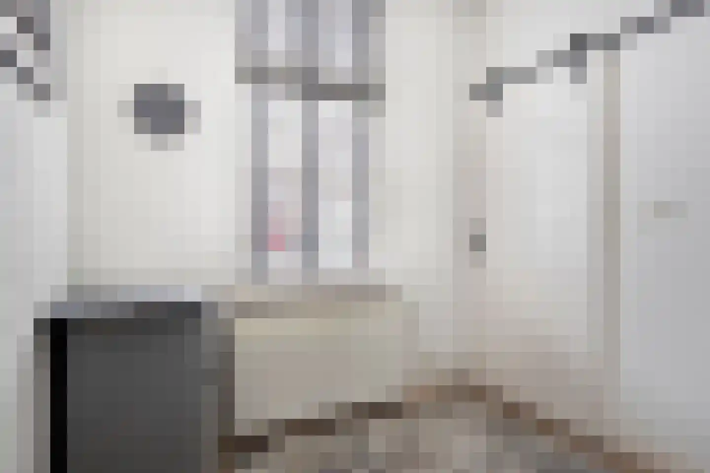 Laarstraat 41 Geldrop thumbnail 18