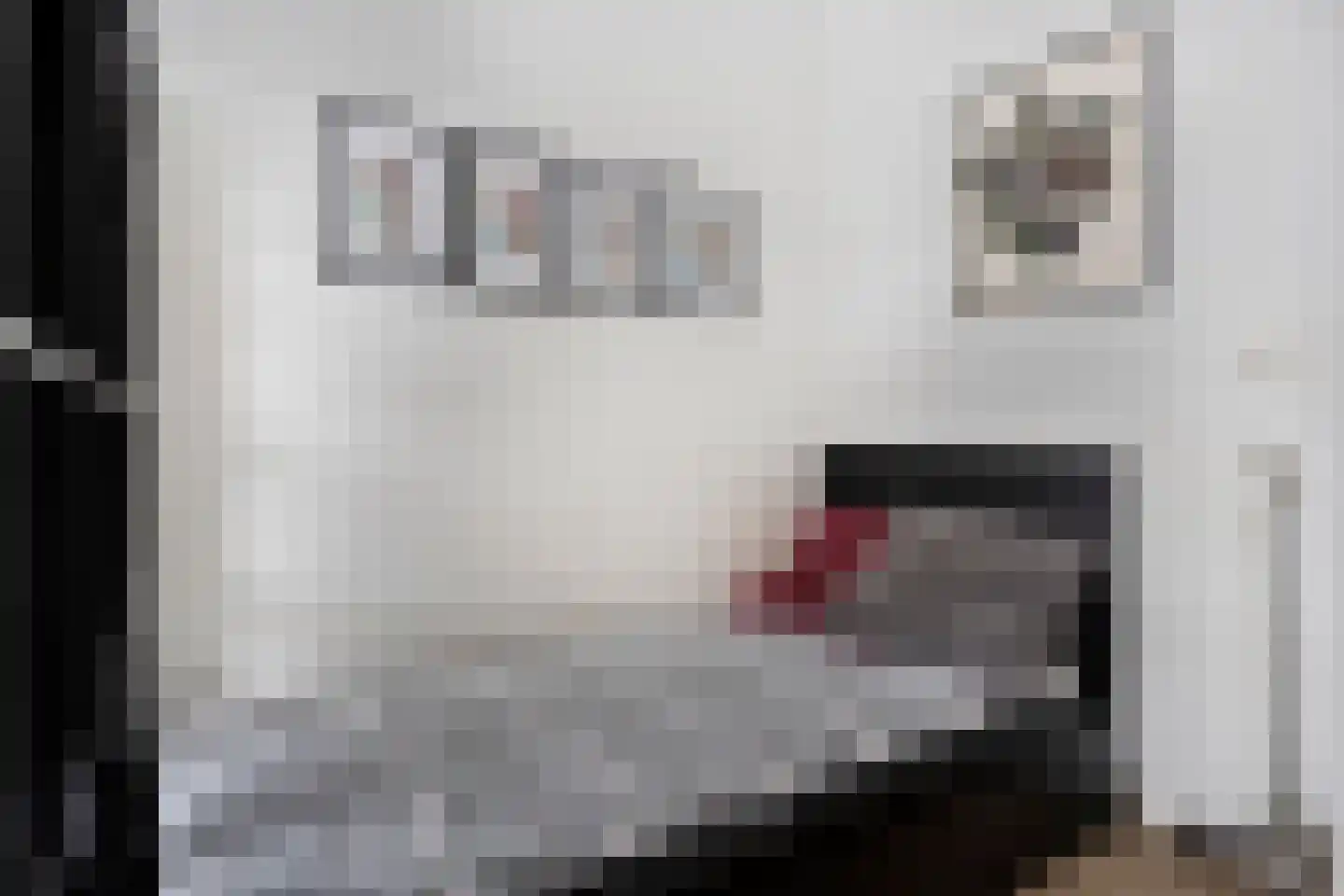 Laarstraat 41 Geldrop thumbnail 19