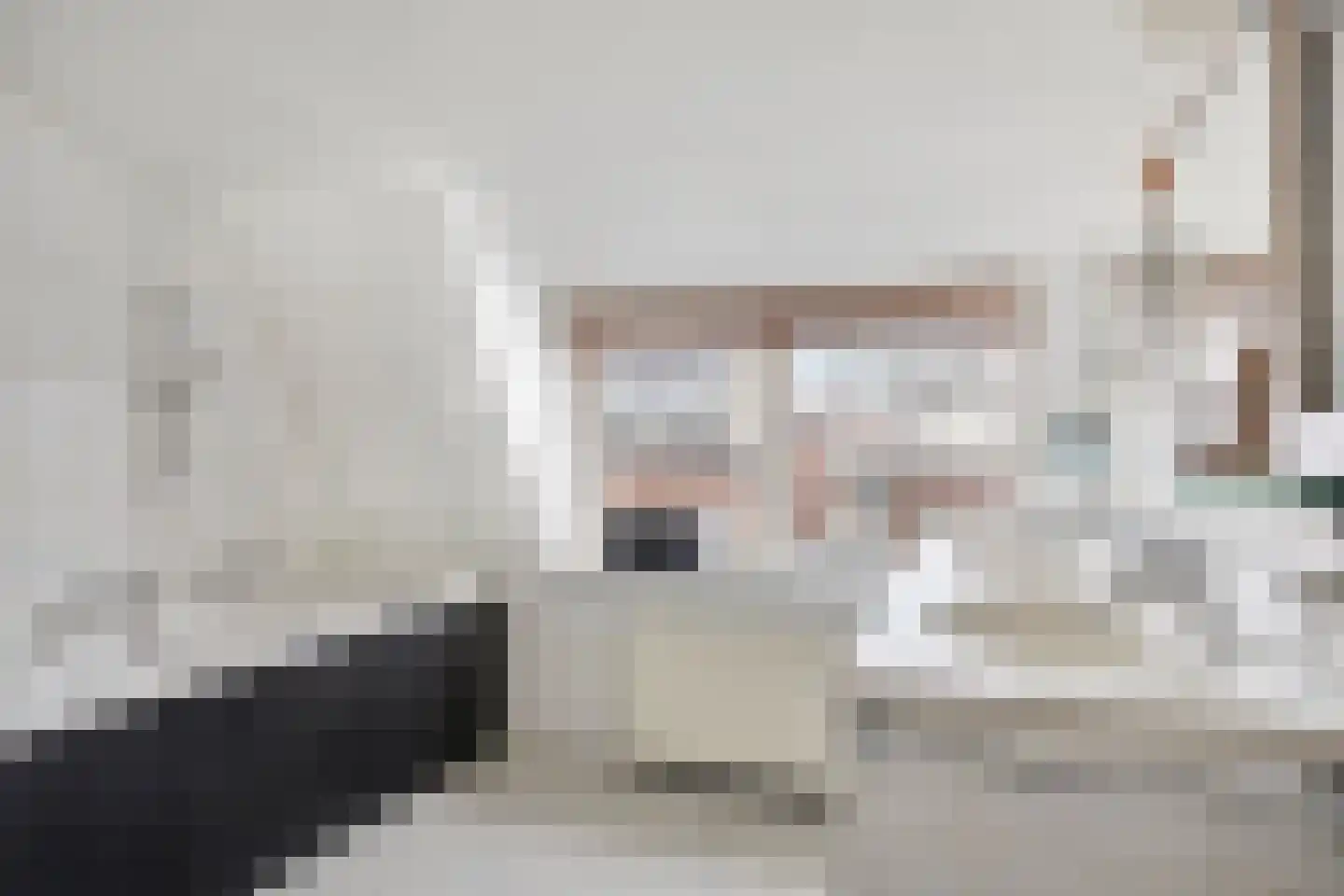 Laarstraat 41 Geldrop thumbnail 26