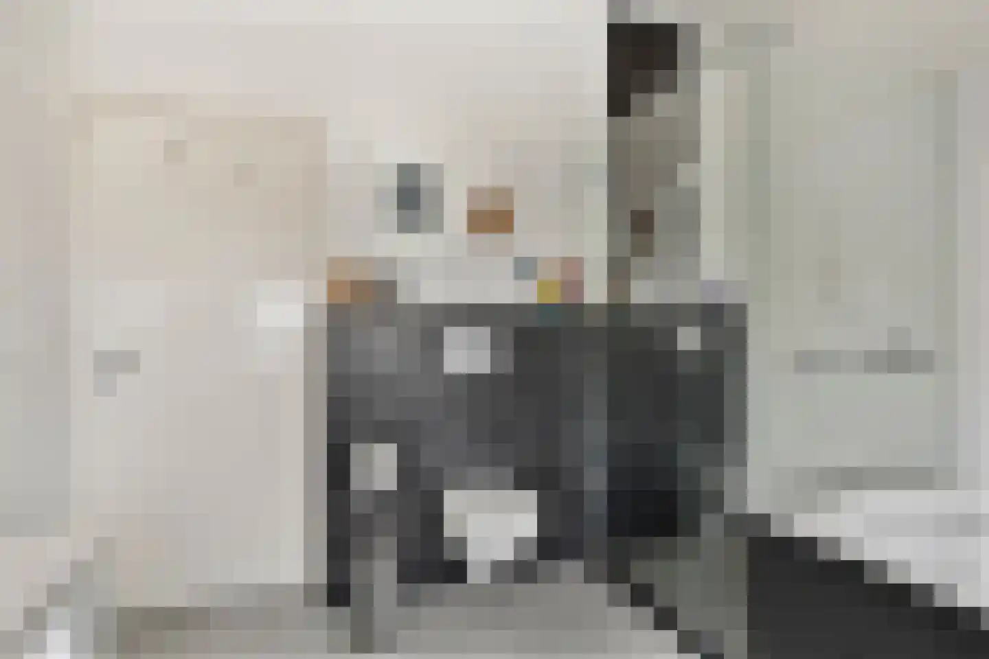 Laarstraat 41 Geldrop thumbnail 29