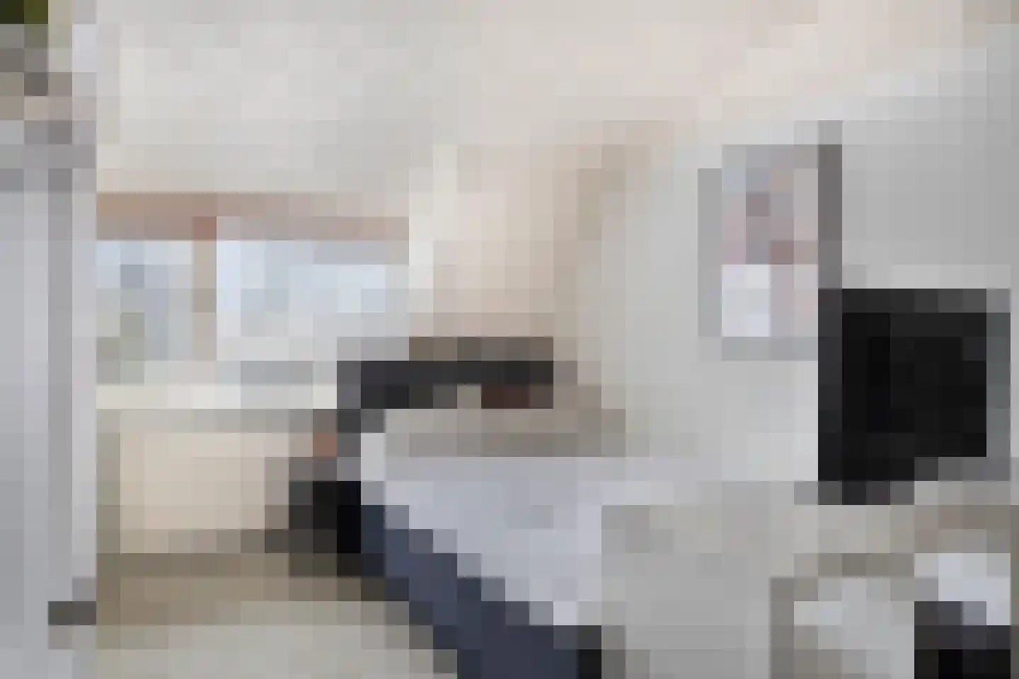 Laarstraat 41 Geldrop thumbnail 30