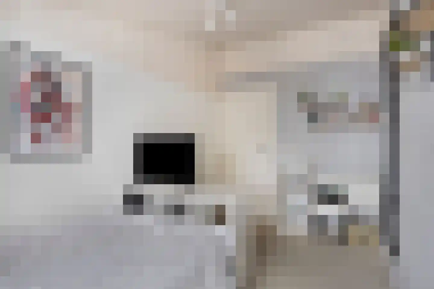 Laarstraat 41 Geldrop thumbnail 31