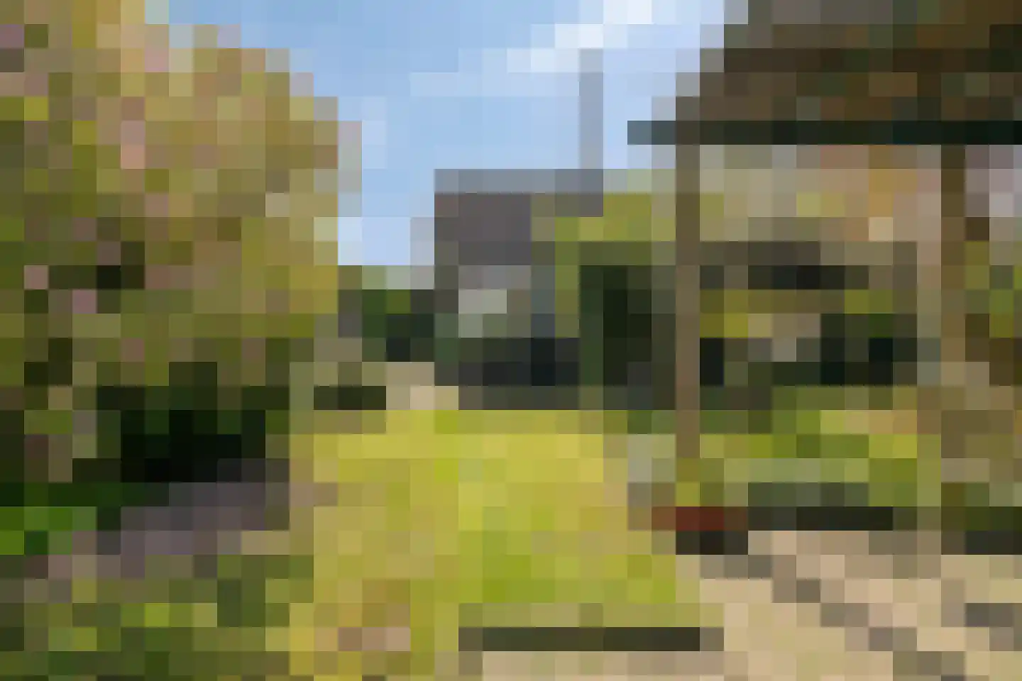 Laarstraat 41 Geldrop thumbnail 34