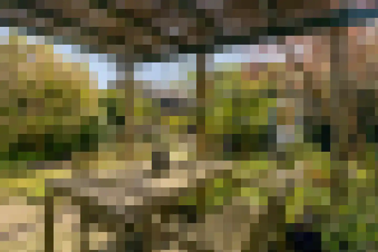 Laarstraat 41 Geldrop thumbnail 36