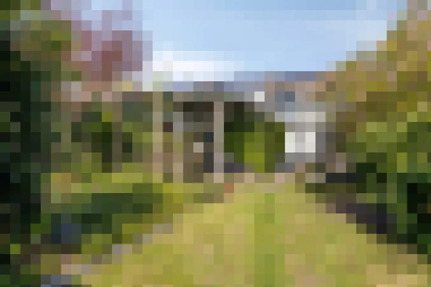 Laarstraat 41 Geldrop thumbnail 38