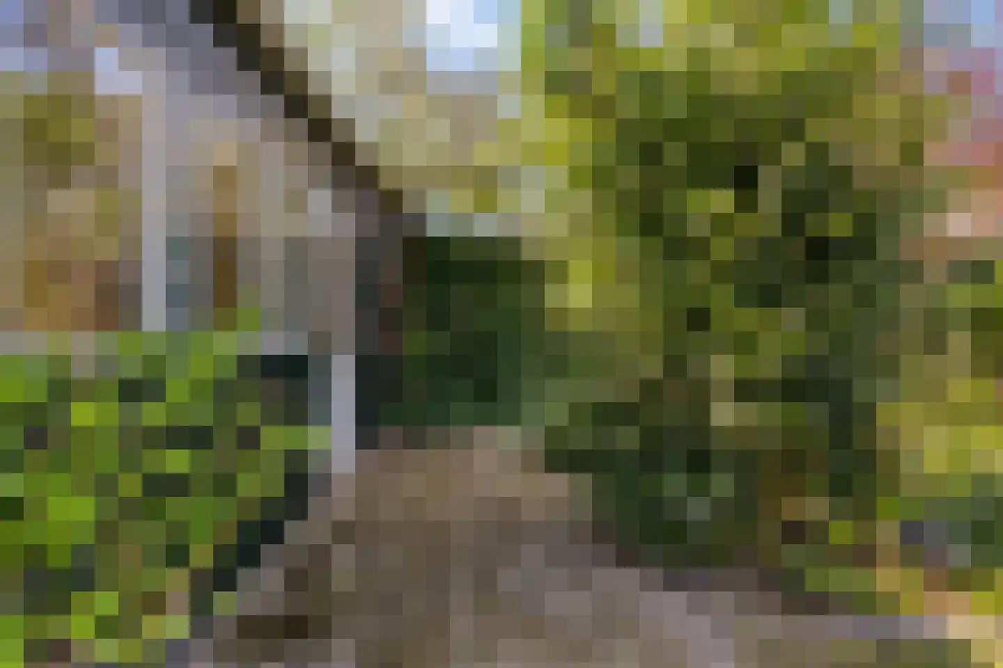 Laarstraat 41 Geldrop thumbnail 39