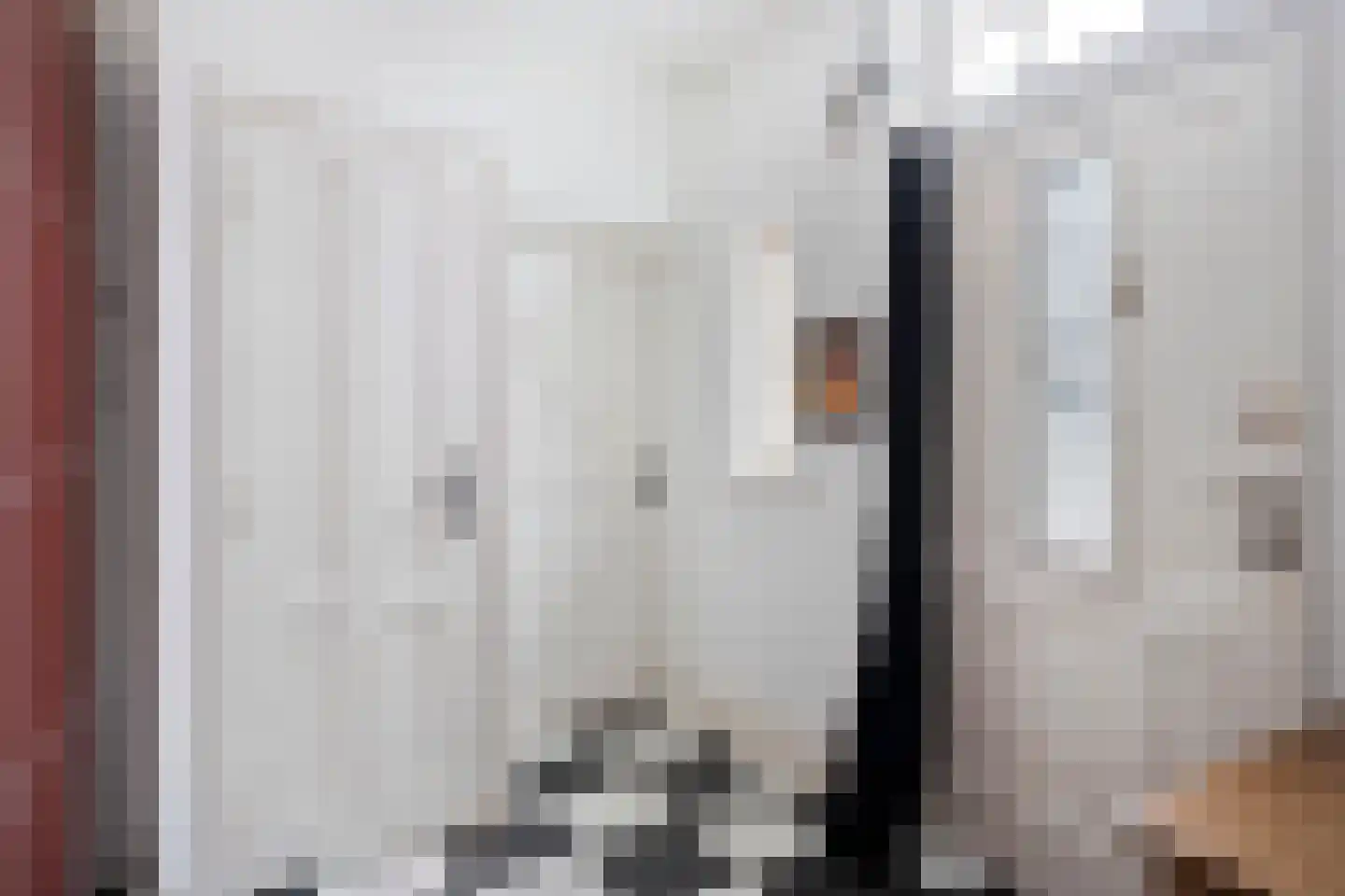 Laarstraat 41 Geldrop thumbnail 4