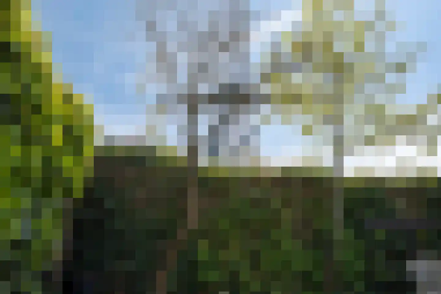 Laarstraat 41 Geldrop thumbnail 42