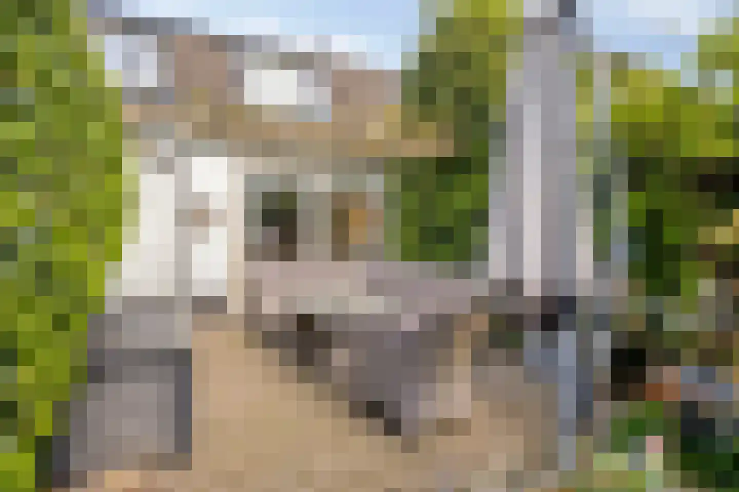 Laarstraat 41 Geldrop thumbnail 45